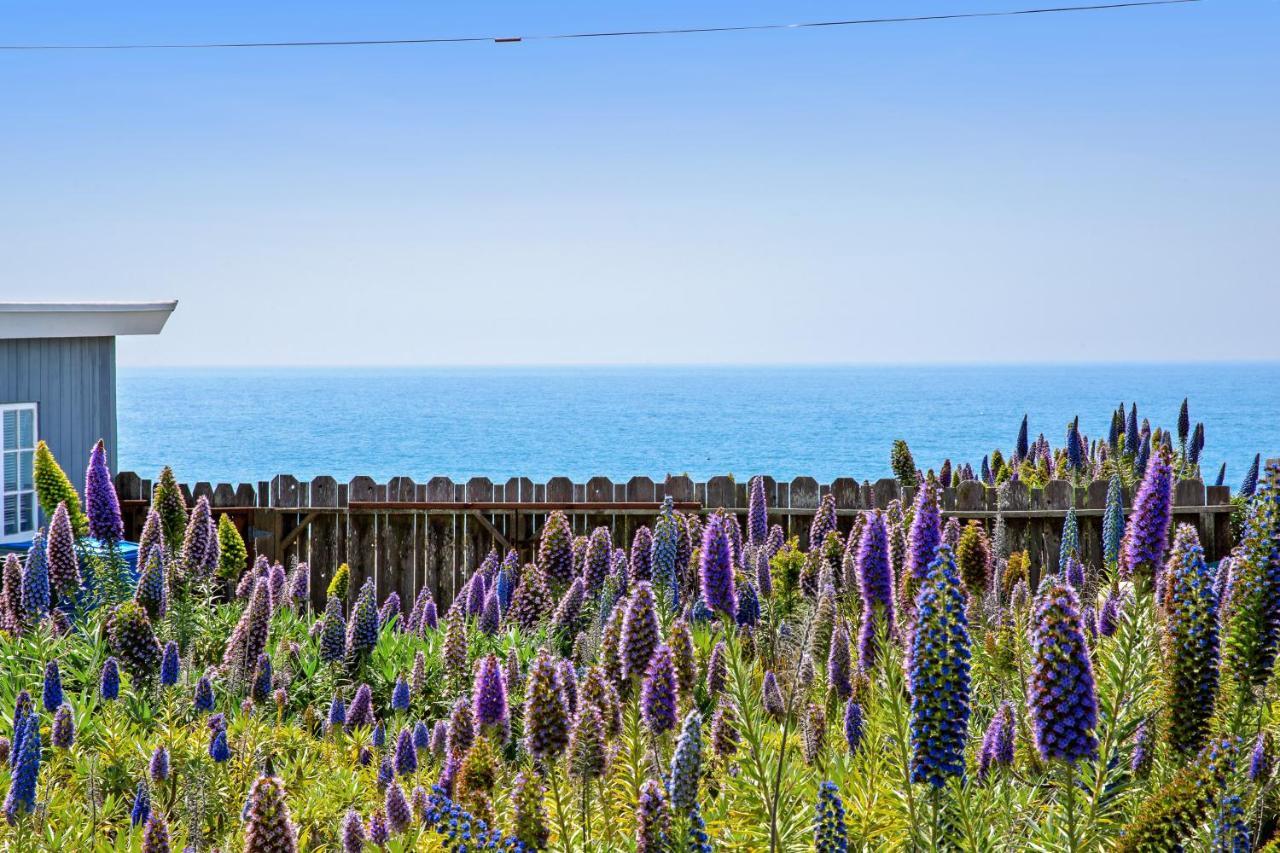 Cozy Carmet Cottage Bodega Bay Exterior photo