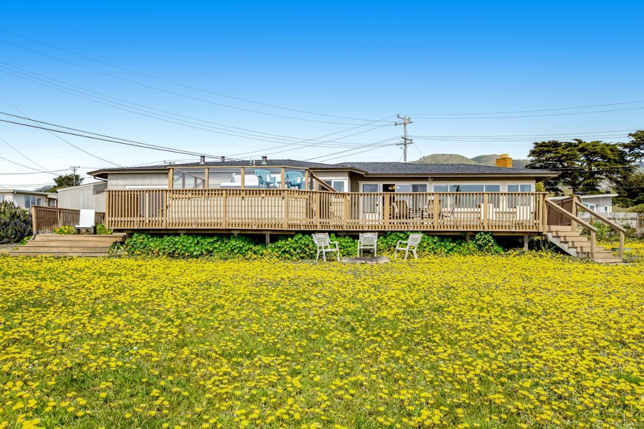 Cozy Carmet Cottage Bodega Bay Exterior photo